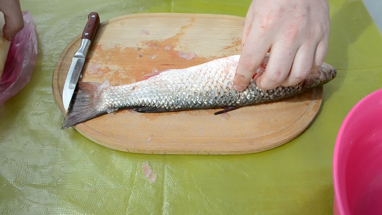 Fish on a kitchen board. The cook cleans fish