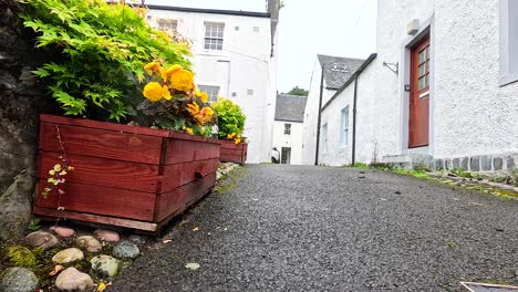 a quaint path with vibrant flower boxes