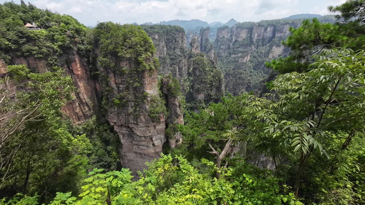 Pan right showcasing giant pillar-like formations rising from lush forest in Zhangjiajie, under cloudy summer sky