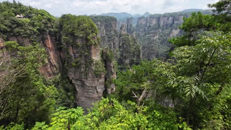 pan right showcasing giant pillar-like formations rising from lush forest in zhangjiajie, under cloudy summer sky