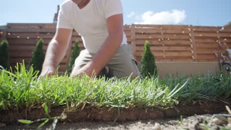 jardinero colocando un rollo de césped natural