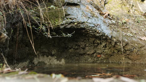 cueva natural con goteo de agua de manantial que proviene del derretimiento de las nieves en las montañas en la soleada primavera en slowmo