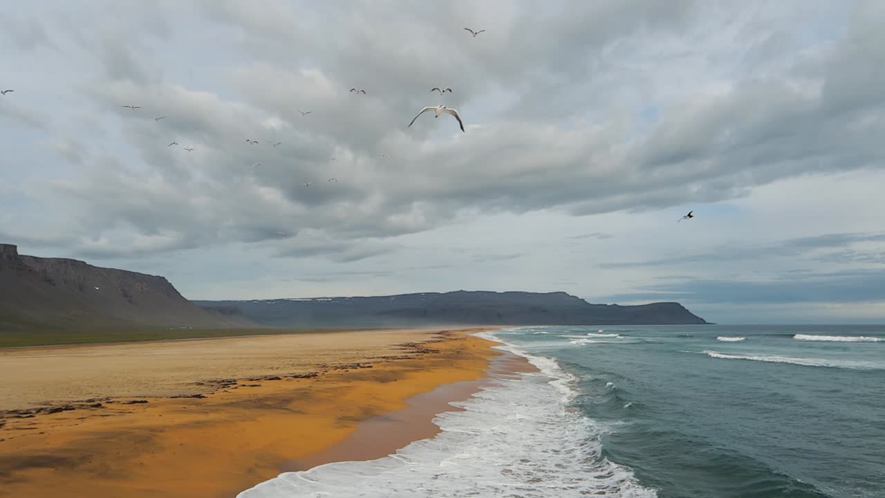Pássaros voando na praia vermelha na Islândia.