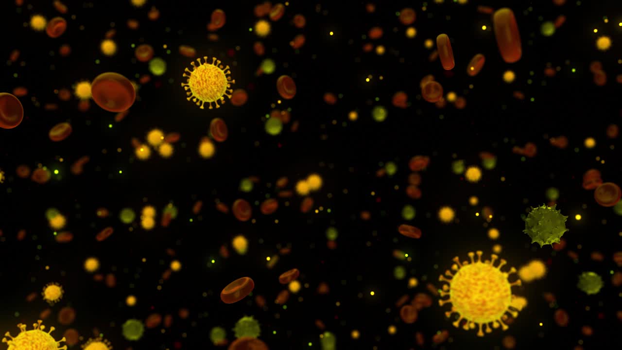 바이러스와 혈액 세포