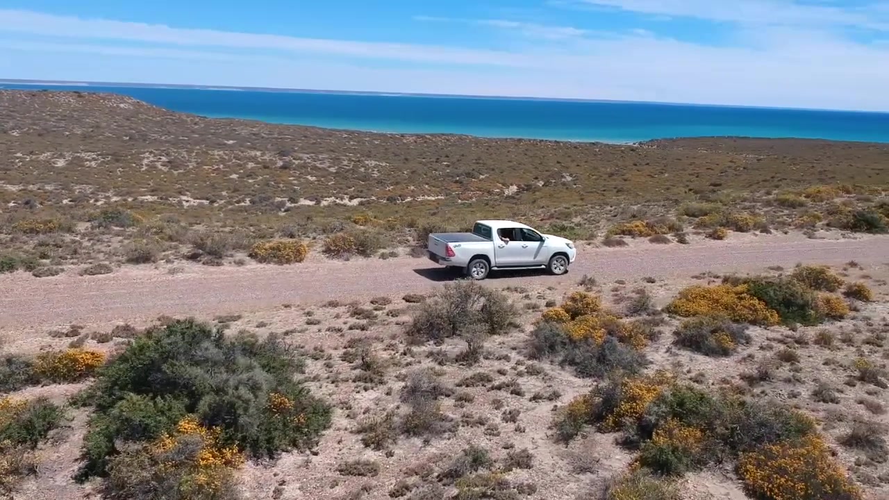 Tomas aéreas de una camioneta recorriendo caminos remotos en la Península Valdés, Patagonia 1