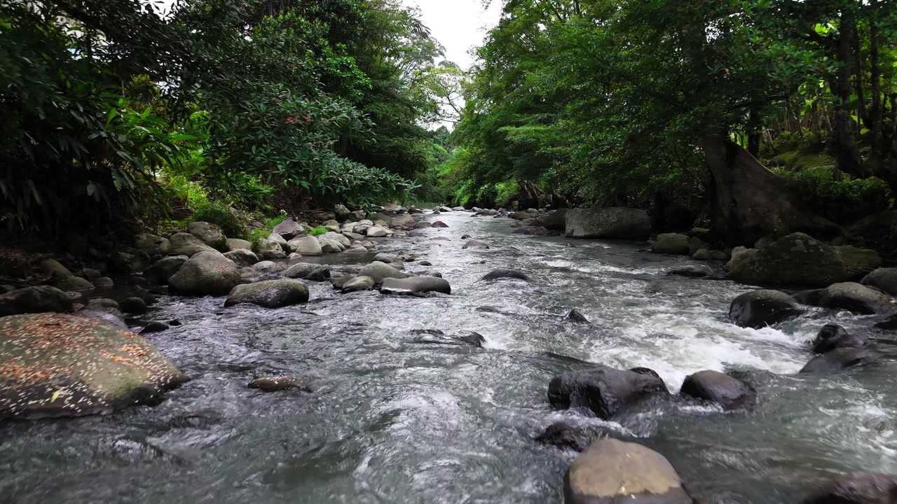 Fly close over river in Bali, Indonesia