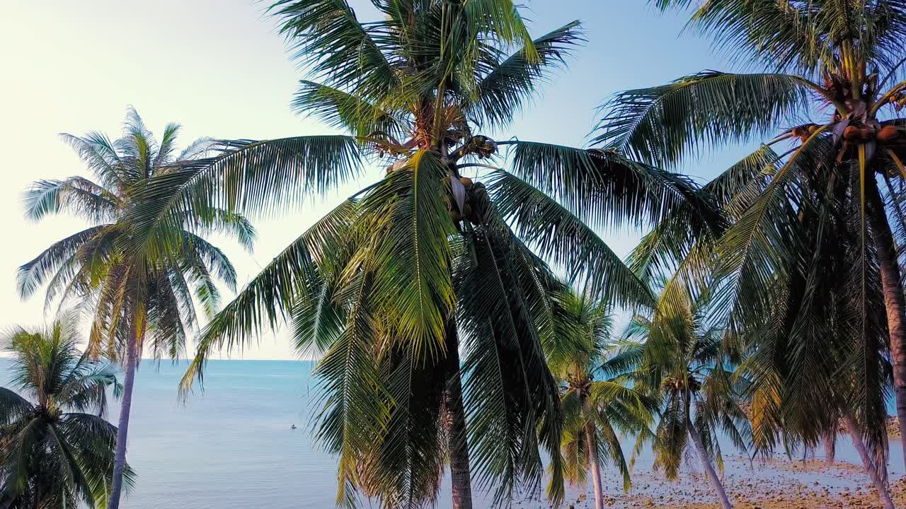 vista superior aérea de 4k de la playa de nathon, koh samui