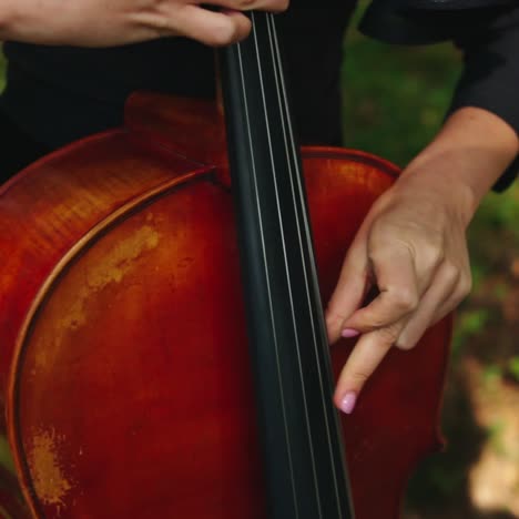 young attractive girl playing cello