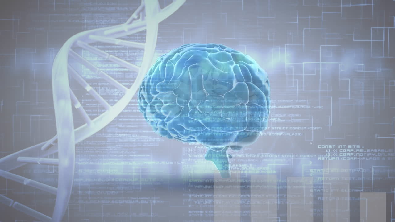 Digital brain and DNA helix with program codes