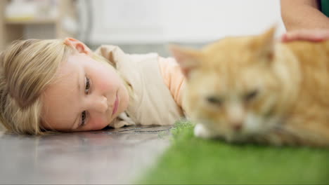 Niño,-Triste-Y-Ama-A-Una-Mascota-En-El-Veterinario