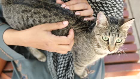 woman holding and petting a cat