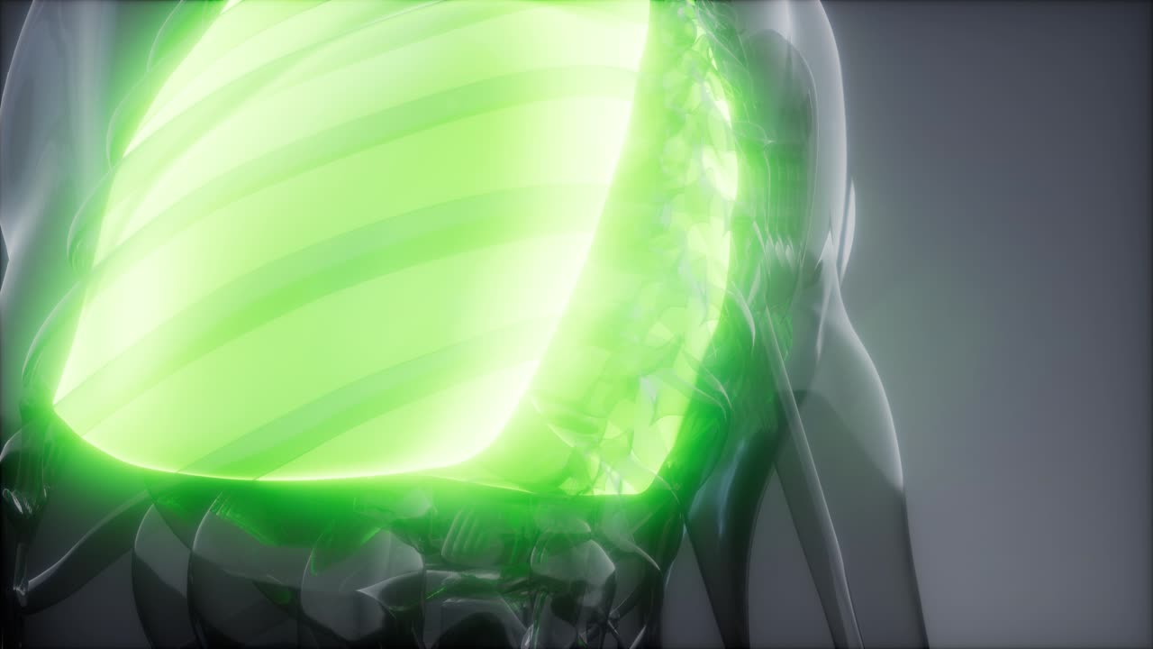 examen radiológico de los pulmones humanos