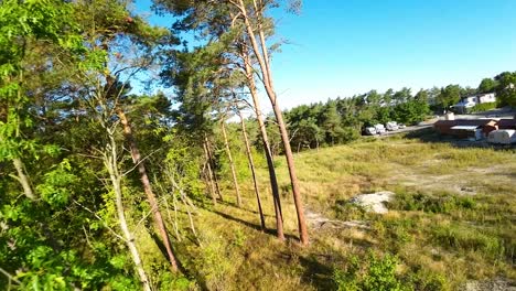 Flying-Through-The-Forest-To-The-Field-And-Farm-Barn-On-A-Sunny-Summer-Day