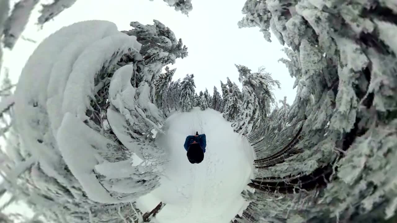 человек, гуляющий по красивому зимнему лесу, vr360, 360vr, 360 видео, 360 градуса, vr, эффект маленькой планеты