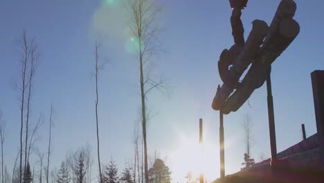 logging operation in a forest