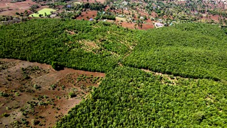 Drohnenansicht---Afrika-Wald---Afrika-Buschfeuer