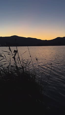 sunset over a lake with grass