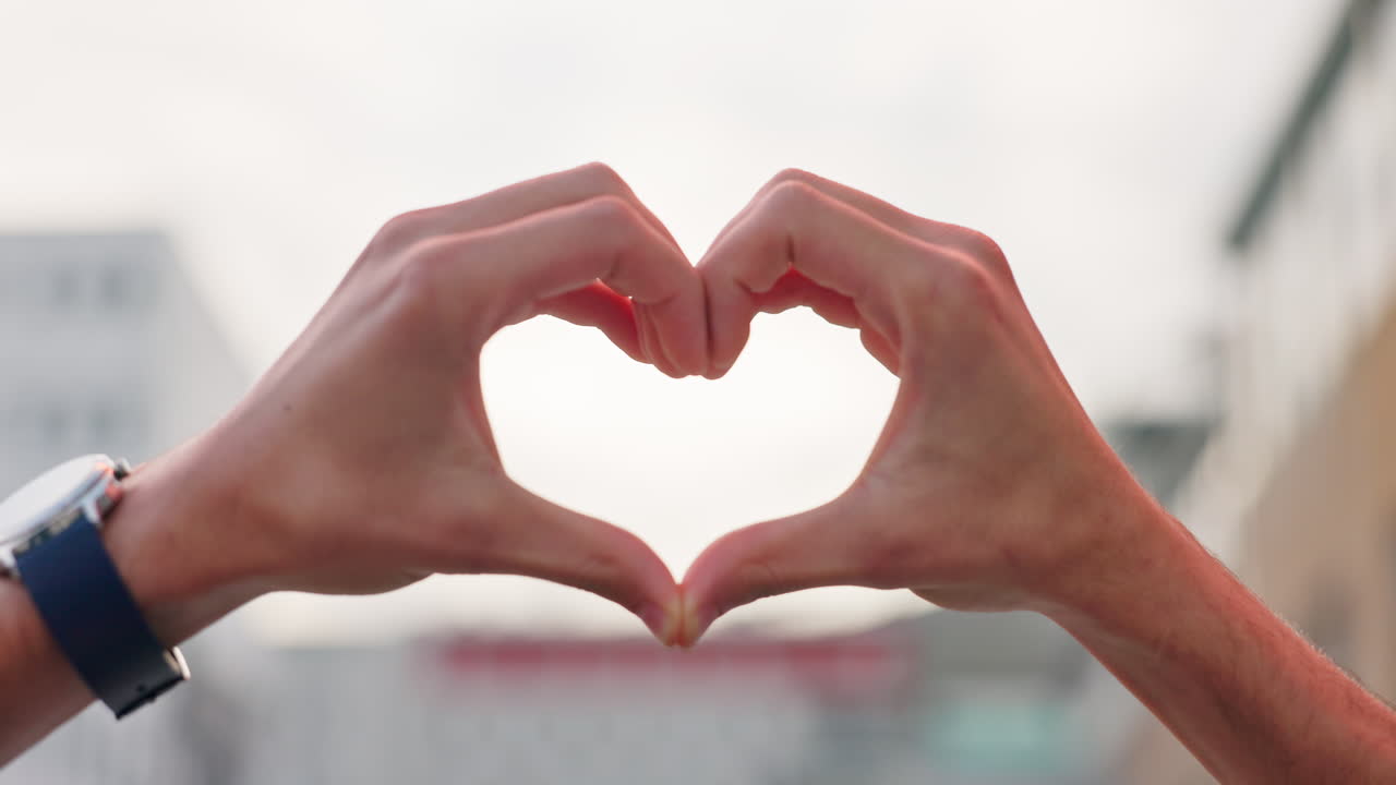 심장 모양의 손