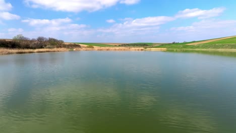 pond with reeds in the countryside - aerial drone shot