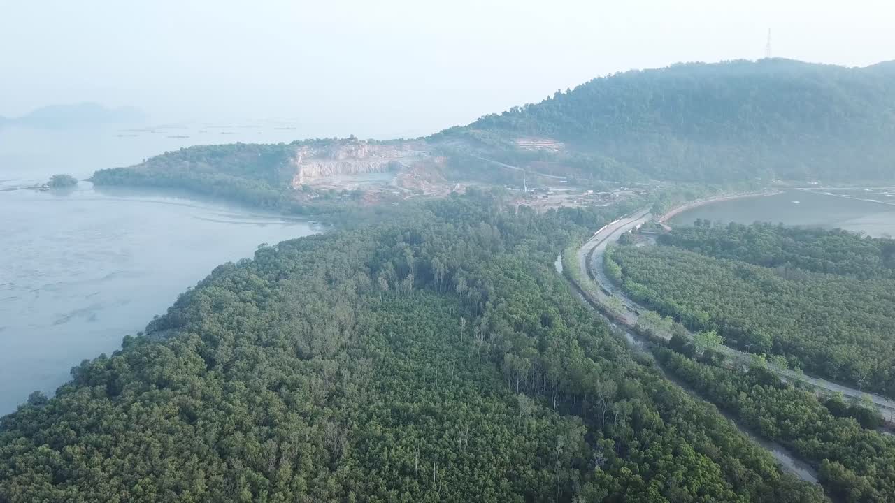 vista aérea de arriba de los árboles de manglar. planta de cantera en la parte de atrás.