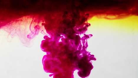 dark red liquid fume visual, purple and red burst of ink on white background