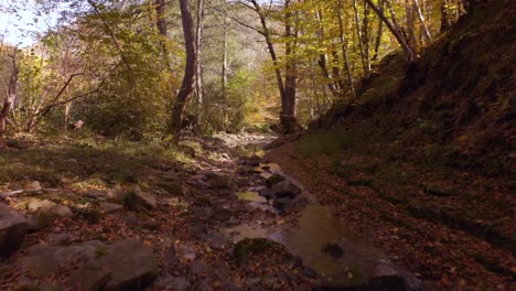 fast low drone shot over small river in autumn