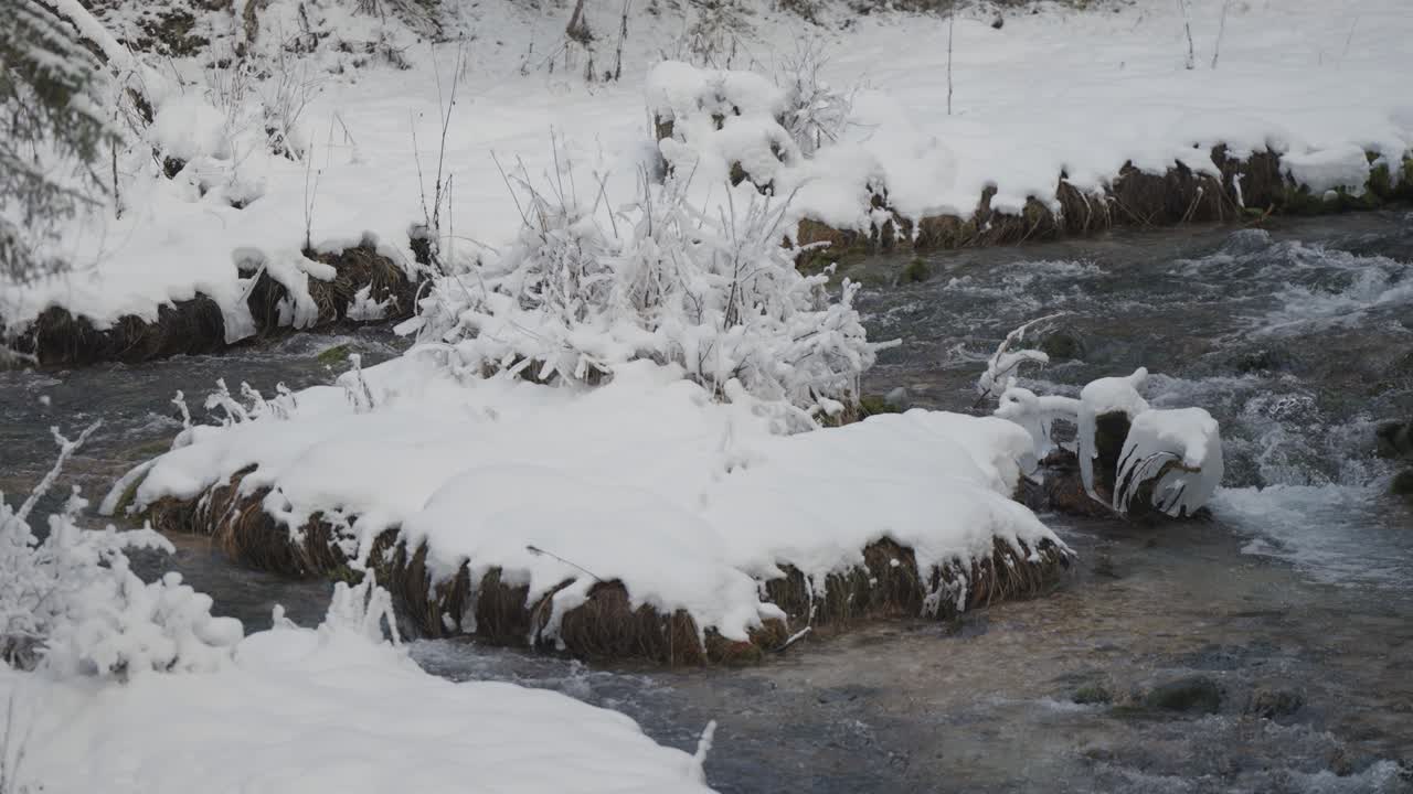A shallow mountain stream flows in the rocky riverbed surrounded by the snow-covered low banks and frozen trees and grasses. Parallax video.