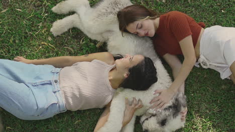 jonge vrouwen aaien een grote hond die op het gras ligt 1