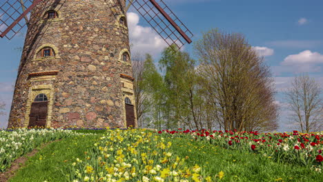 Blooming-flowers-near-historical-stone-millhouse-on-sunny-day,-time-lapse