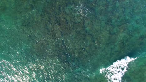 Aerial-shot-of-turquoise-Hawaiian-waters-near-Diamond-Head