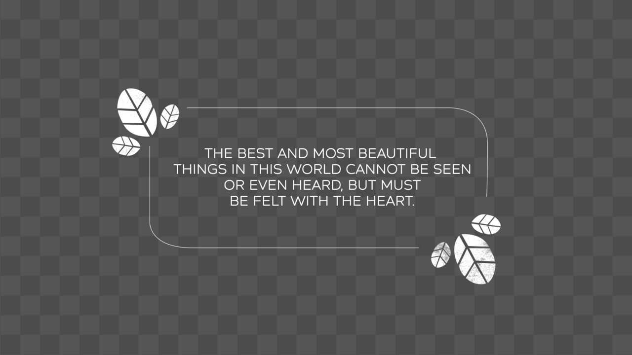 Quote 02
Adobe Premiere Pro 2023
Resolution 3840×2160