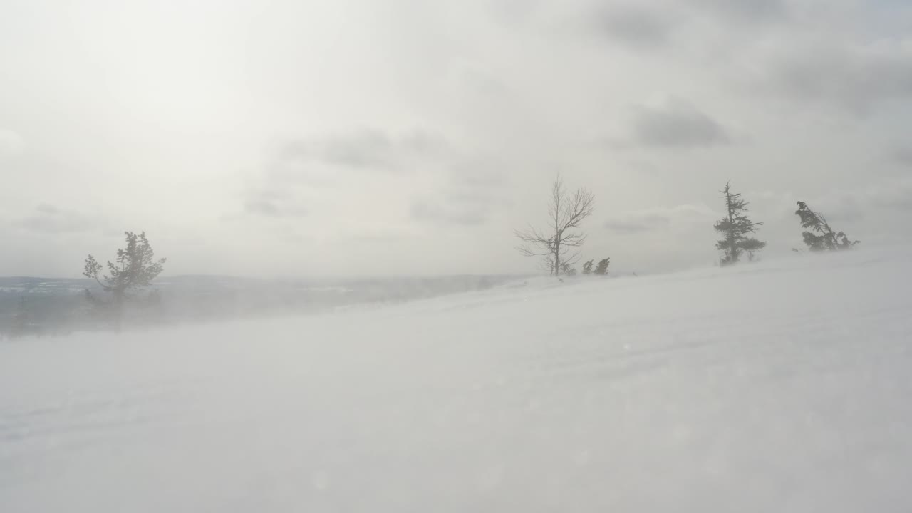 Strong wind blowing snow, low angle