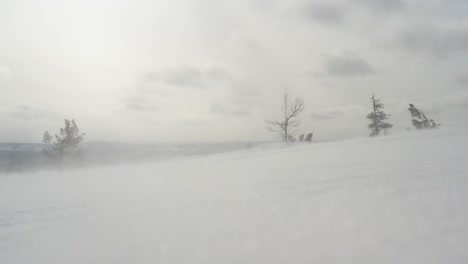 Strong-wind-blowing-snow,-low-angle