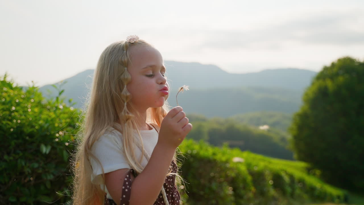 una niña pequeña soplando un diente de león en una plantación de té