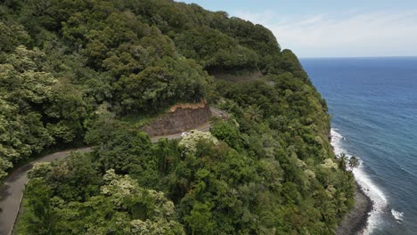 aerial view of road to hana along maui coastline