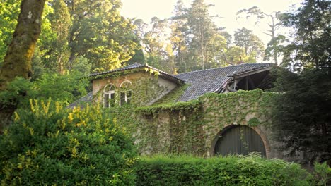 Antigua-Mansión-Cubierta-De-Hiedra-Rodeada-De-Vegetación-En-Un-Parque,-Portugal