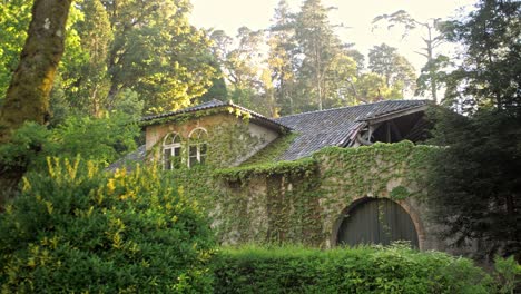 antigua mansión cubierta de hiedra rodeada de vegetación en un parque, portugal