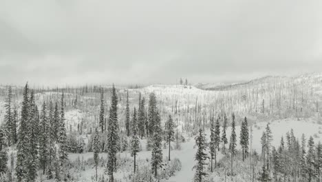 4k-Luftlandstraße-Mit-Schneebedeckten-Hügeln-Und-Evergreens-Im-Hintergrund