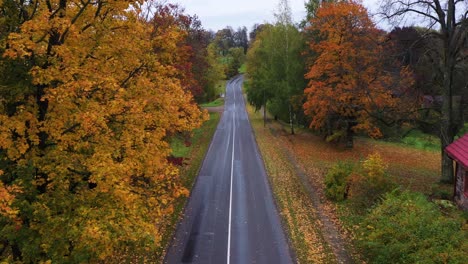 Wet-countryside-asphalt-road-with-autumn-colors-around,-aerial-view