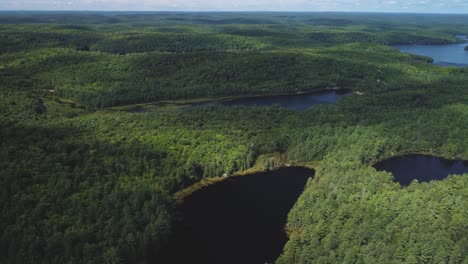 drone push in view of a remote lake surrounded by woods and trees hb05