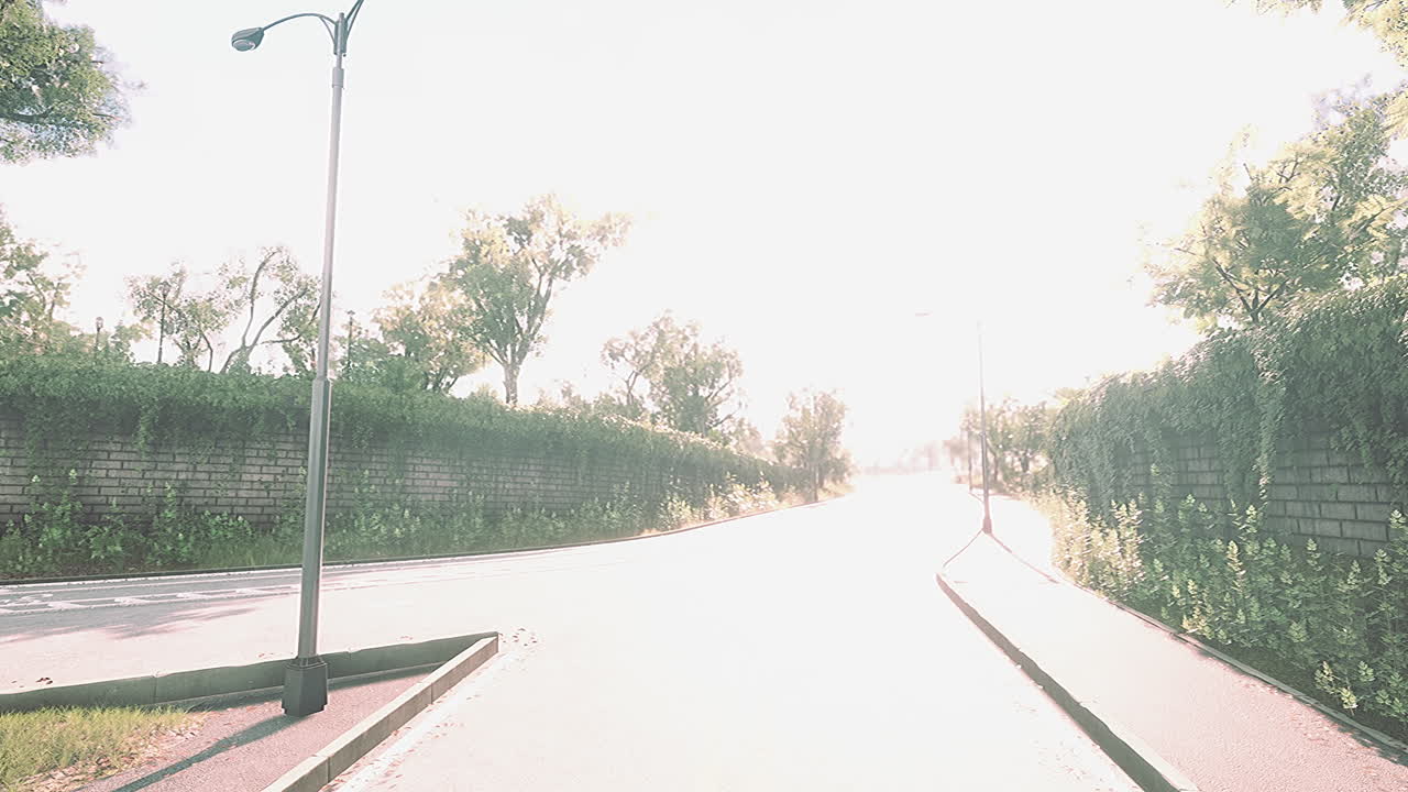 램프 포스트 와  ⁇ 빛 이 있는 비어 있는 도로 의 모습