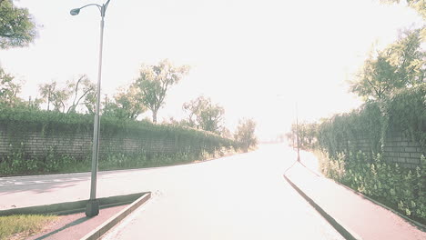 view of empty road with lamp post and sunlight