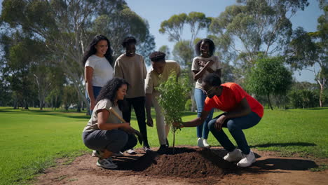 a group of people planting a tree in a park