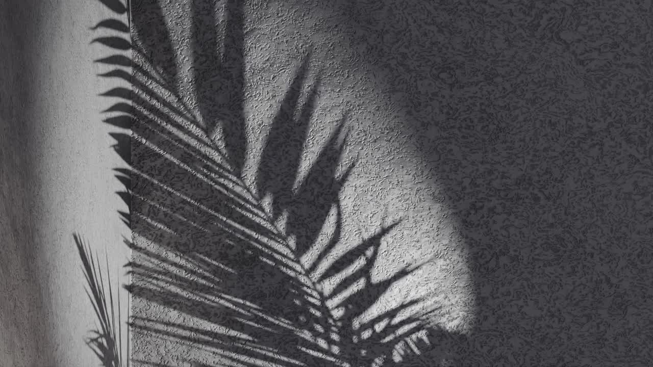 Black grey textured wall with palm frond shadow waving in wind on back, vertical