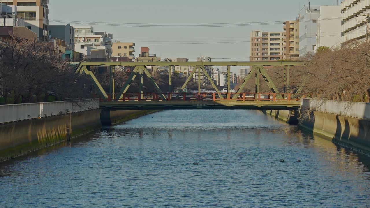 Tokyo'da sakin bir şehir kanalını geçen yeşil çelik kafes köprü, şehir binaları ve çıplak ağaçlarla çevrili, suda ördekler var, sıcak öğleden sonra ışığında sabit geniş bir çekim olarak yakalanmış