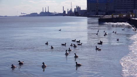 The-Detroit-River-lined-with-factories-and-industrial-sites