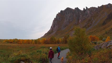 tourists ride one-wheel boards through vestarelen’s autumn landscape with a dog