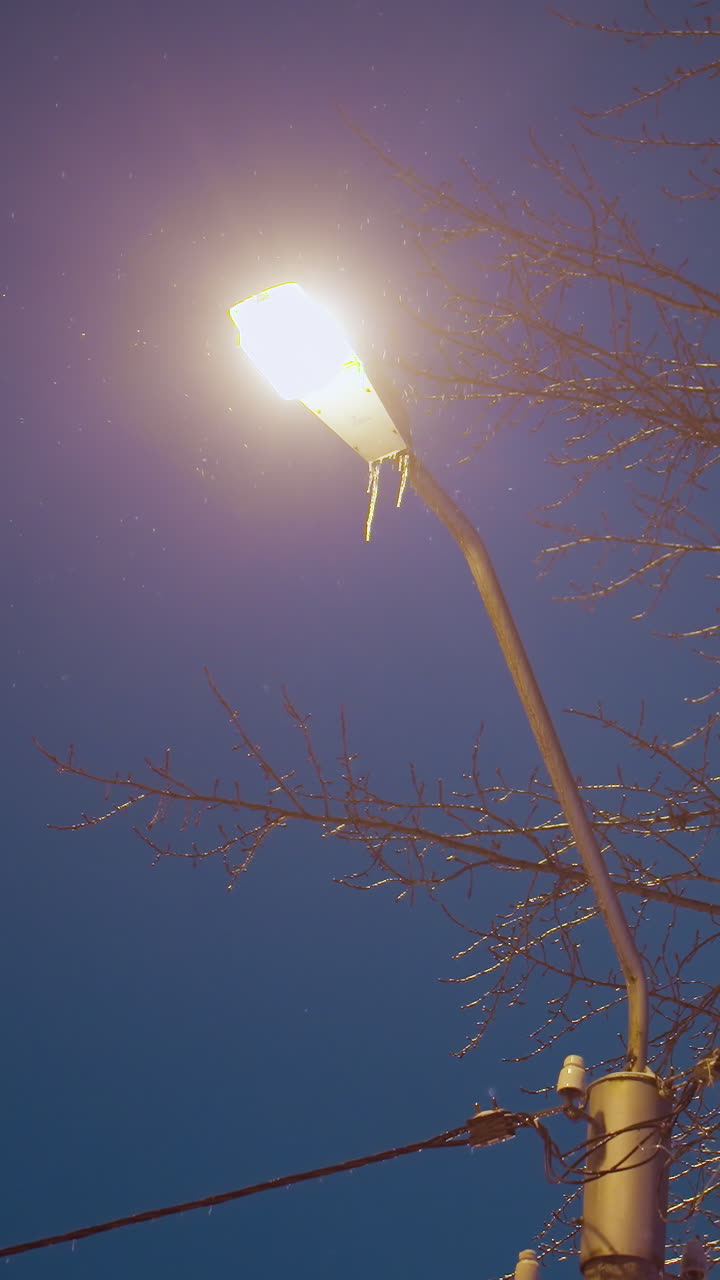 la luz de la calle brillando brillantemente al anochecer, iluminando las ramas desnudas de los árboles y los cables brillantes contra el cielo azul profundo de la noche, creando una atmósfera de invierno tranquila