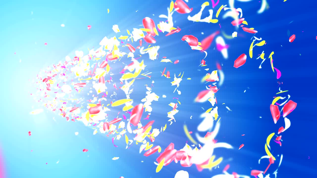 화려한 잎자루, 나선형 반이는 꽃잎, 꽃 모양, 예쁜 춤추는 꽃잎, 회전하는 꽃잎에서 소용돌이, 추상적인 루프 애니메이션.