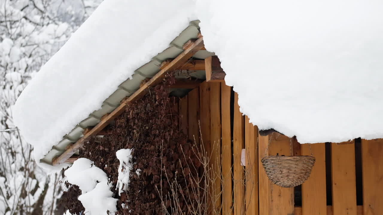 birds feeding from a basket in winter